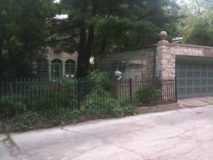 IMG 0179